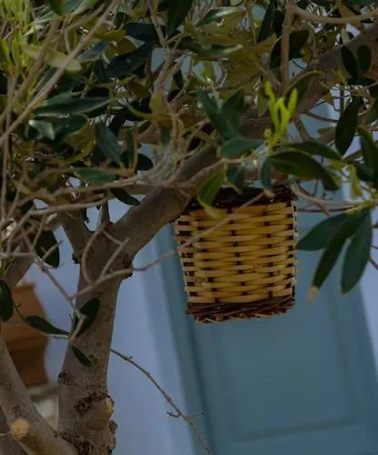 Martha's Filoxenia Διαμέρισμα Δρυός