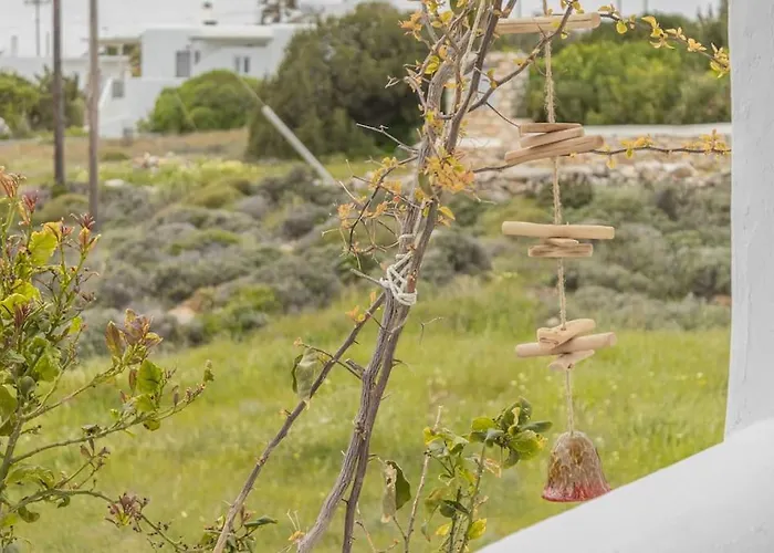 Martha's Filoxenia Δρυός