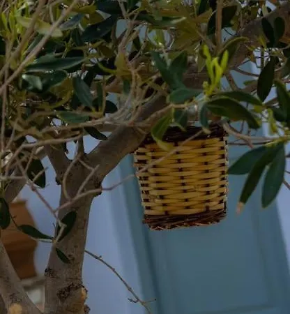 Martha's Filoxenia Apartment Drios