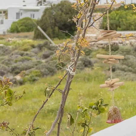 Martha's Filoxenia Drios