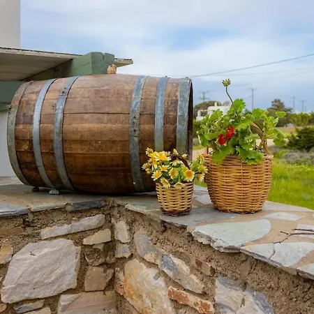 Martha's Filoxenia Apartment Drios