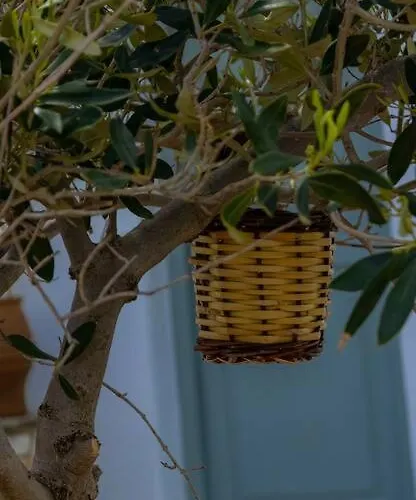 Martha's Filoxenia Apartment Drios