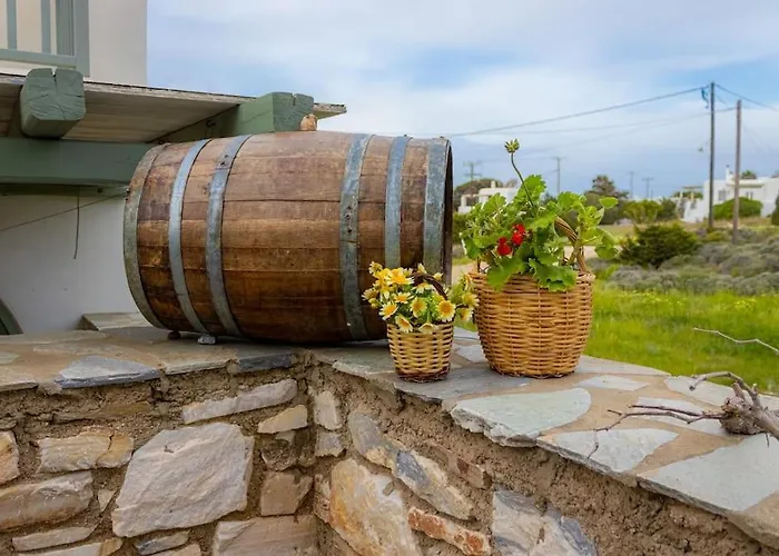 Martha's Filoxenia Apartment Drios